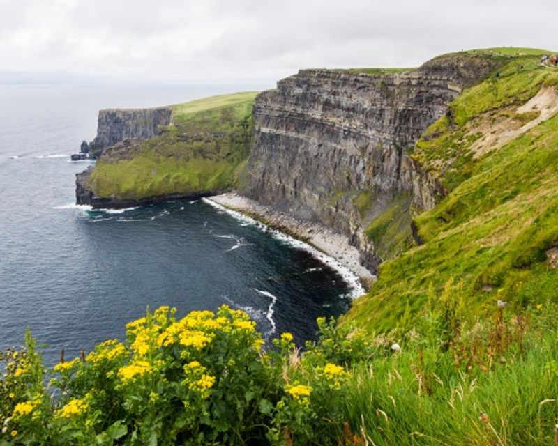 ANNO ALL ESTERO IRLANDA